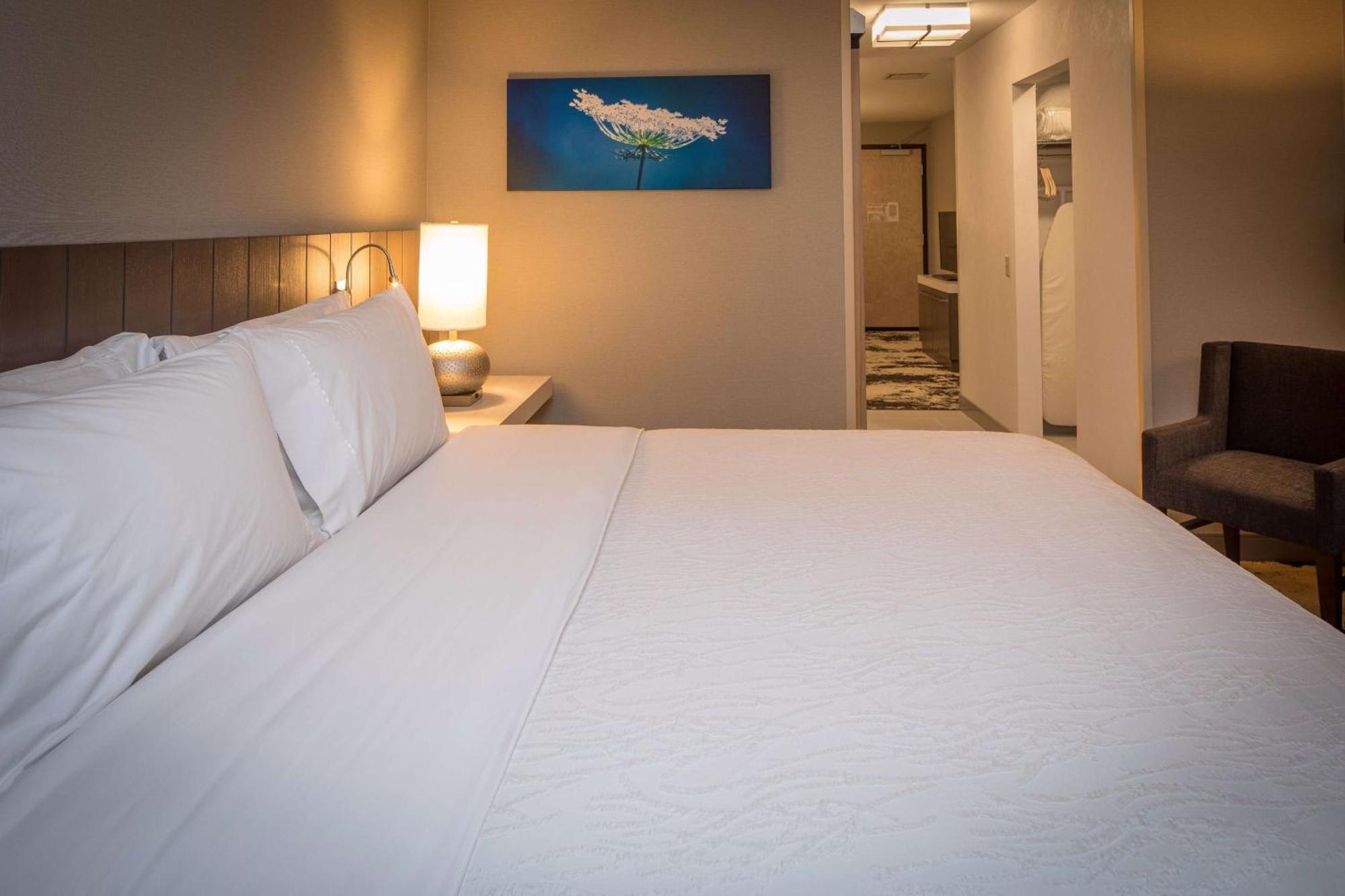 Hilton Garden Inn Pittsburgh Airport Moon Township Екстериор снимка